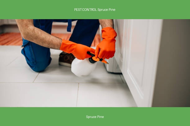 PEST CONTROL Spruce Pine